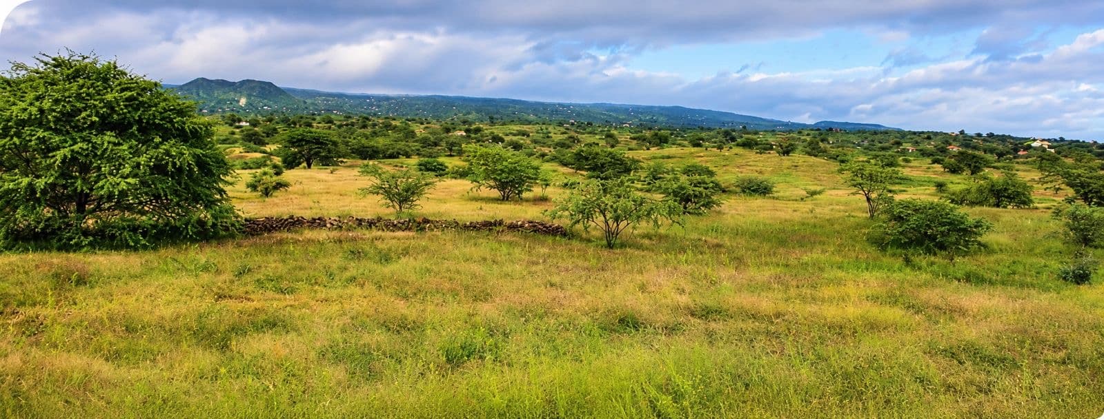 Land for sale in Sao Felipe, Fogo — foto 2