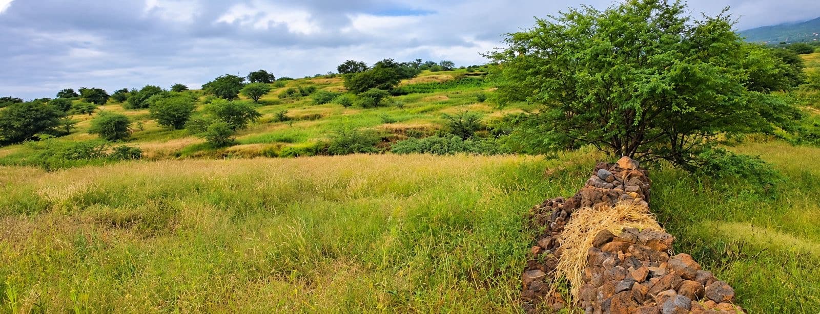 Land for sale in Sao Felipe, Fogo — foto 3