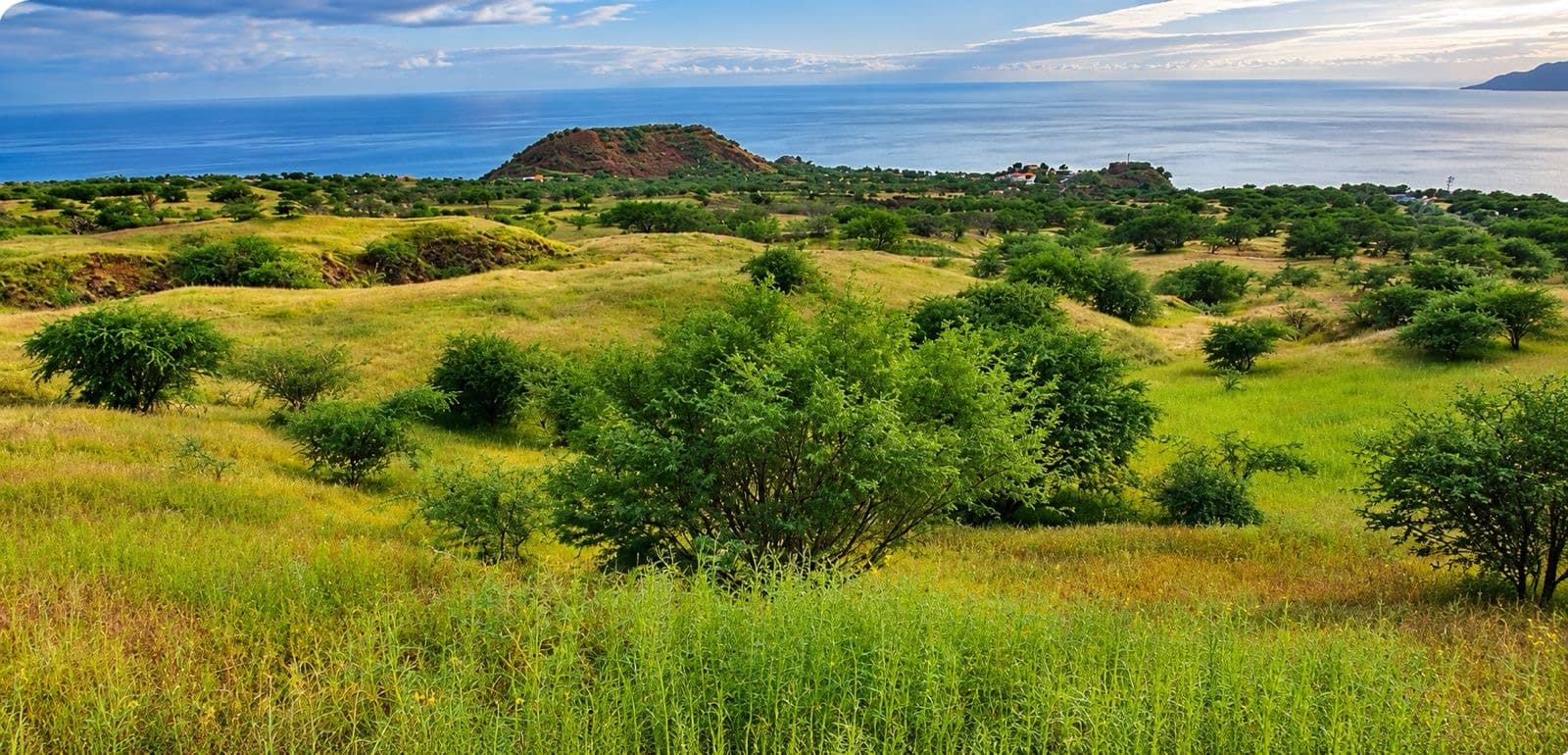 Land for sale in Sao Felipe, Fogo — foto 5