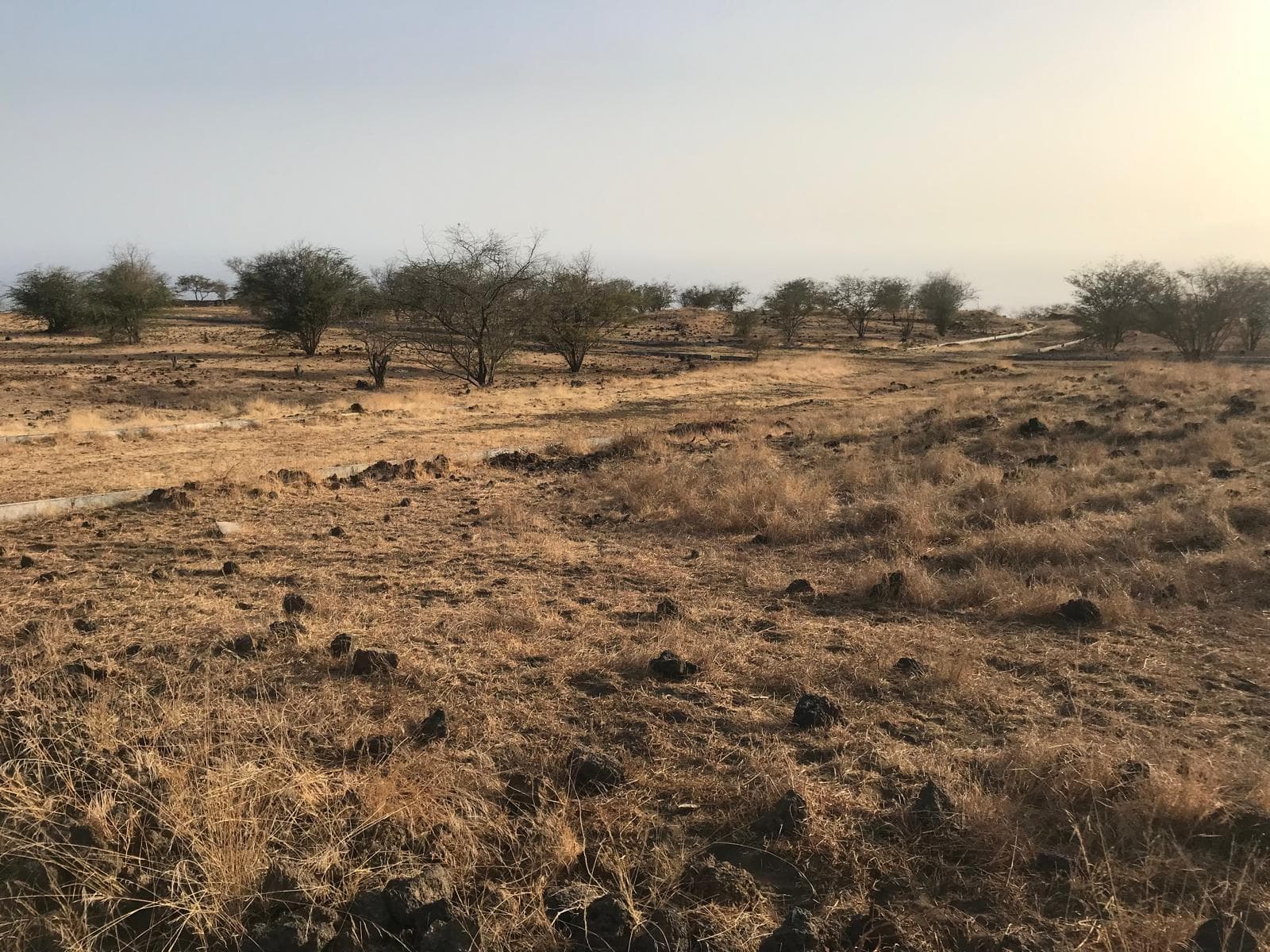 Land for sale in S. FILIPE, Fogo — foto principal
